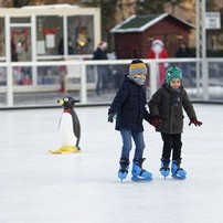 开云体育全站app下载优惠-花样滑冰世青赛中国小将获银牌，花样滑冰世青赛男单冠军